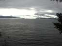 ./images/koeye/fitz-hugh/20200906/fitz-hugh20200906_155002.jpg