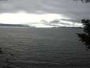 ./images/koeye/fitz-hugh/20200906/fitz-hugh20200906_155502.jpg