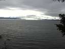 ./images/koeye/fitz-hugh/20200906/fitz-hugh20200906_160002.jpg