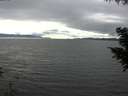 ./images/koeye/fitz-hugh/20200906/fitz-hugh20200906_160502.jpg