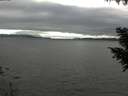 ./images/koeye/fitz-hugh/20200906/fitz-hugh20200906_163502.jpg