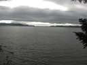 ./images/koeye/fitz-hugh/20200906/fitz-hugh20200906_164002.jpg