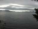 ./images/koeye/fitz-hugh/20200906/fitz-hugh20200906_165501.jpg