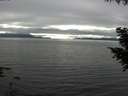 ./images/koeye/fitz-hugh/20200906/fitz-hugh20200906_170501.jpg