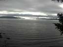 ./images/koeye/fitz-hugh/20200906/fitz-hugh20200906_171001.jpg