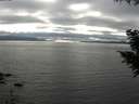 ./images/koeye/fitz-hugh/20200906/fitz-hugh20200906_172001.jpg