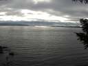 ./images/koeye/fitz-hugh/20200906/fitz-hugh20200906_172501.jpg