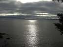 ./images/koeye/fitz-hugh/20200906/fitz-hugh20200906_173501.jpg