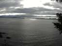 ./images/koeye/fitz-hugh/20200906/fitz-hugh20200906_174001.jpg