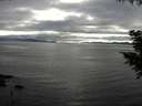 ./images/koeye/fitz-hugh/20200906/fitz-hugh20200906_174501.jpg
