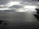 ./images/koeye/fitz-hugh/20200906/fitz-hugh20200906_175001.jpg