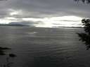 ./images/koeye/fitz-hugh/20200906/fitz-hugh20200906_175501.jpg