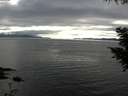 ./images/koeye/fitz-hugh/20200906/fitz-hugh20200906_180001.jpg
