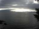 ./images/koeye/fitz-hugh/20200906/fitz-hugh20200906_181001.jpg