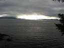 ./images/koeye/fitz-hugh/20200906/fitz-hugh20200906_182001.jpg