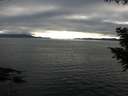./images/koeye/fitz-hugh/20200906/fitz-hugh20200906_182501.jpg