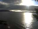 ./images/koeye/fitz-hugh/20200906/fitz-hugh20200906_183501.jpg