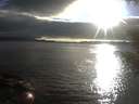 ./images/koeye/fitz-hugh/20200906/fitz-hugh20200906_184001.jpg