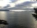 ./images/koeye/fitz-hugh/20200906/fitz-hugh20200906_185502.jpg