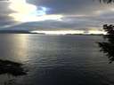 ./images/koeye/fitz-hugh/20200906/fitz-hugh20200906_191502.jpg