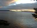 ./images/koeye/fitz-hugh/20200906/fitz-hugh20200906_195002.jpg