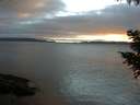 ./images/koeye/fitz-hugh/20200906/fitz-hugh20200906_195501.jpg
