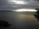 ./images/koeye/fitz-hugh/20200906/fitz-hugh20200906_202001.jpg