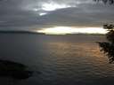./images/koeye/fitz-hugh/20200906/fitz-hugh20200906_202501.jpg