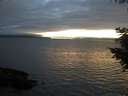 ./images/koeye/fitz-hugh/20200906/fitz-hugh20200906_203501.jpg