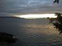 ./images/koeye/fitz-hugh/20200906/fitz-hugh20200906_204001.jpg