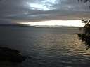 ./images/koeye/fitz-hugh/20200906/fitz-hugh20200906_204501.jpg