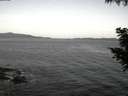 ./images/koeye/fitz-hugh/20200907/fitz-hugh20200907_061501.jpg