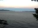 ./images/koeye/fitz-hugh/20200907/fitz-hugh20200907_064501.jpg