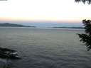./images/koeye/fitz-hugh/20200907/fitz-hugh20200907_065001.jpg