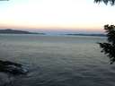 ./images/koeye/fitz-hugh/20200907/fitz-hugh20200907_065501.jpg