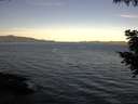./images/koeye/fitz-hugh/20200907/fitz-hugh20200907_080502.jpg