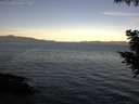 ./images/koeye/fitz-hugh/20200907/fitz-hugh20200907_081002.jpg