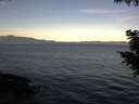 ./images/koeye/fitz-hugh/20200907/fitz-hugh20200907_081502.jpg