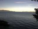 ./images/koeye/fitz-hugh/20200907/fitz-hugh20200907_082002.jpg