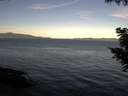 ./images/koeye/fitz-hugh/20200907/fitz-hugh20200907_082502.jpg