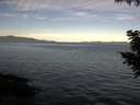 ./images/koeye/fitz-hugh/20200907/fitz-hugh20200907_085001.jpg