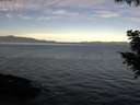 ./images/koeye/fitz-hugh/20200907/fitz-hugh20200907_085501.jpg