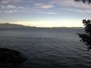 ./images/koeye/fitz-hugh/20200907/fitz-hugh20200907_090501.jpg