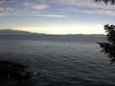 ./images/koeye/fitz-hugh/20200907/fitz-hugh20200907_091001.jpg