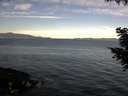 ./images/koeye/fitz-hugh/20200907/fitz-hugh20200907_091501.jpg