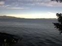 ./images/koeye/fitz-hugh/20200907/fitz-hugh20200907_092001.jpg