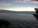 ./images/koeye/fitz-hugh/20200907/fitz-hugh20200907_092501.jpg
