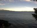 ./images/koeye/fitz-hugh/20200907/fitz-hugh20200907_093501.jpg