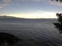 ./images/koeye/fitz-hugh/20200907/fitz-hugh20200907_094001.jpg