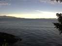 ./images/koeye/fitz-hugh/20200907/fitz-hugh20200907_094501.jpg